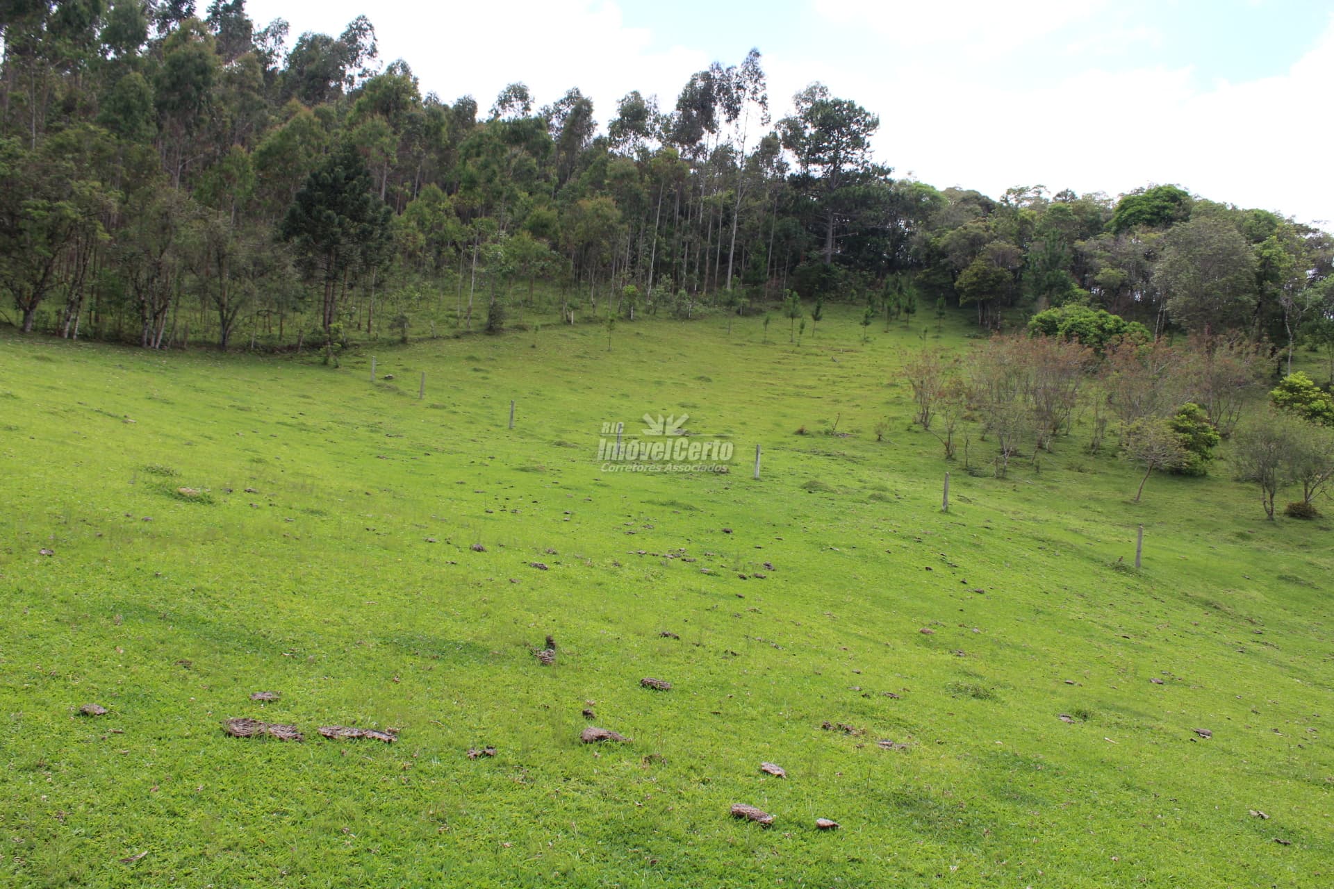<p>Chácara à venda, 260.300 m² por R$ 2.750.000,00 - Campo Magro/PR</p>